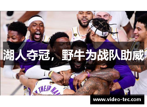 湖人夺冠，野牛为战队助威